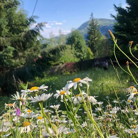 فيلة Przystanek Klimczok -przytulny Dom Na Wylacznosc Z Balia I Pieknym Widokiem Na Gory