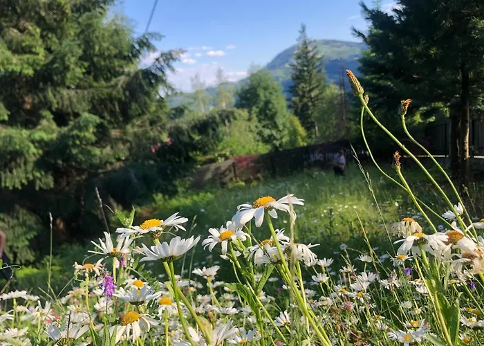 Villa Przystanek Klimczok -przytulny Dom Na Wylacznosc Z Balia I Pieknym Widokiem Na Gory