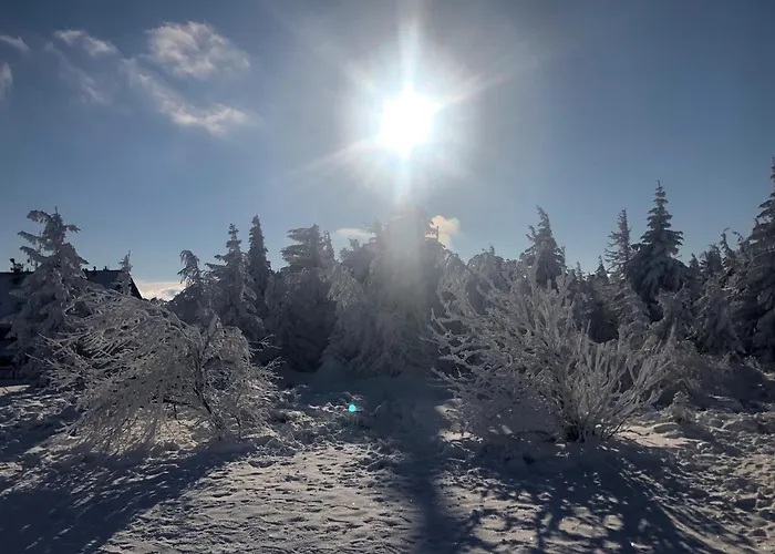 Przystanek Klimczok -przytulny Dom Na Wylacznosc Z Balia I Pieknym Widokiem Na Gory Vila *