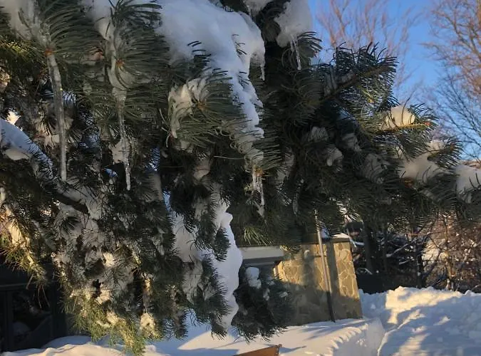 Villa Przystanek Klimczok -przytulny Dom Na Wyłączność Z Balią I Pięknym Widokiem Na Góry Szczyrk